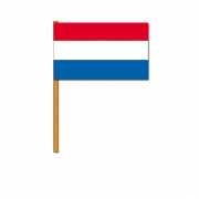 Nederlandse handvlag