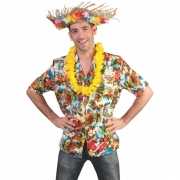 Vrolijke Hawaii blouse voor heren