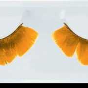 Party wimpers met oranje veren