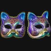 Wandversiering regenboog kat masker