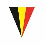 Vlaggenlijn met de Belgische vlag 5 meter