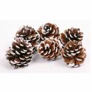 Gekleurde glitter dennenappels 6 stuks