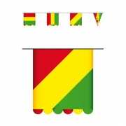 Limburg kleuren vlaggenlijn 3 mtr