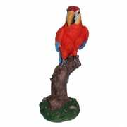 Rood beeldje papegaai 32 cm