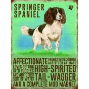 Wand bord Springer Spaniel 30 x 40 cm