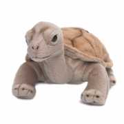 Schildpadden knuffels 20 cm