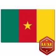 Luxe kwaliteit Kameroense vlaggen