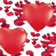 Valentijn thema pakket met love versiering