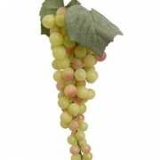 Witte druifjes 28 cm