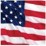 Papieren USA servetten met vlag
