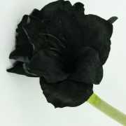 Zwarte Amaryllis van zacht materiaal 75 cm