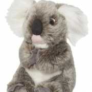 Koala knuffeltje 18 cm