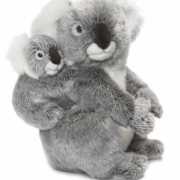 Koala knuffels 28 cm