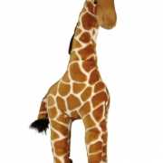 Giraffe knuffel licht bruin 60 cm