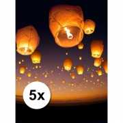 5 stuks voordeel wensballonnen 50 x 100 cm