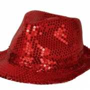 Party hoedje met rode pailletten