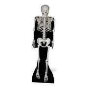Halloween skelet versiering bord