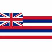 Vlag Hawaii polyester 90 x 150 cm