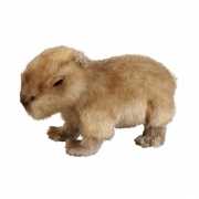 Speelgoed knuffel capibara 25 cm