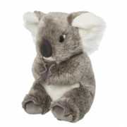Koala knuffeldieren 22 cm