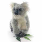 Pluche koala knuffeltjes 23 cm