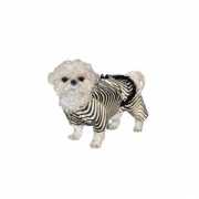 Honden zebra outfit
