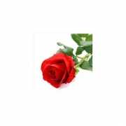 Valentijnsdag servetten met roos