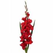 Rode gladiolen kunstbloem