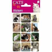 Katten stickers 3 velletjes