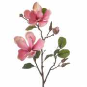 Roze Magnolia decoratie tak 72 cm