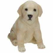 Zittende Labrador puppy van polystone 23 cm