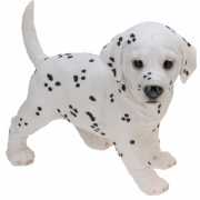 Staande Dalmatier puppy van polystone 29 cm