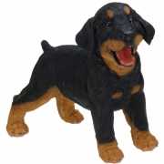 Staande Rottweiler puppy van polystone 29 cm