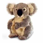 Pluche Koala knuffel 28 cm