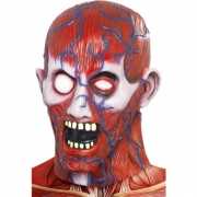 Halloween Anatomisch horror masker