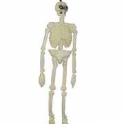 Halloween skelet hangdecoratie 153 cm