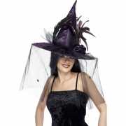 Paarse Halloween hoed heks