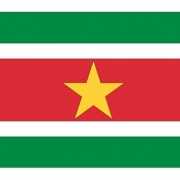 Stickers Suriname vlaggen