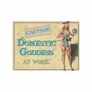Nostalgisch bord Domestic Goddess