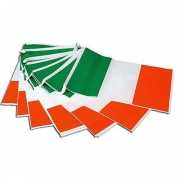 Vlaggenlijn Ierse vlag 7 meter