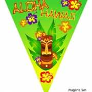 Aloha vlaggenlijn hawaii 5 meter