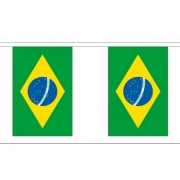 Polyester vlaggenlijn van brazilie