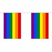 Gay pride regenboog vlaggenlijn 9 m