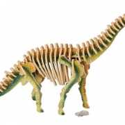 Houten dino Brachiosaurus puzzel in 3d