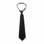 Feest stropdas in de kleur zwart