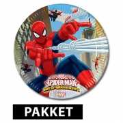 Spiderman versiering pakket