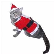 Kerstman kostuum voor katten