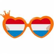 Hartvormige Oranje bril