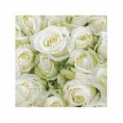 Papieren servetten met witte rozen