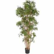 Tropische bamboe boom 150 cm